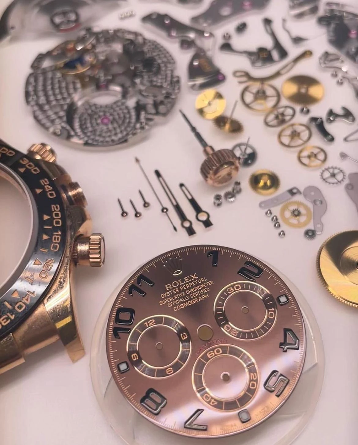Privitera Orologi